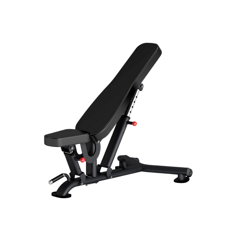 The MYO Strength Adjustable Weight Bench features 9 backrest angles, a heavy-duty flat/incline design, padded seat and backrest, sturdy metal frame, and adjustment knobs. Shown in black against a plain white background.