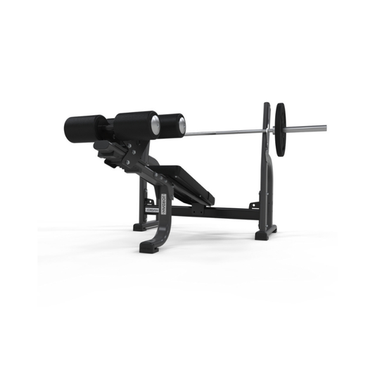 JORDAN Decline Weight Bench – Commercial Chest Press Bench - Home Gym Pro